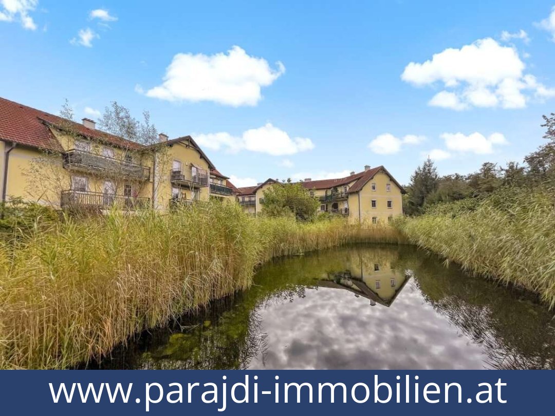 austria-homes-amstetten-3300-20250830154731-0026401026.jpg