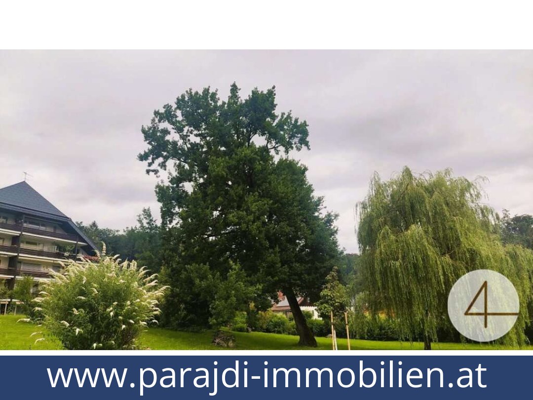 austria-homes-gresten-3264-20250830191723-0030501006.jpg