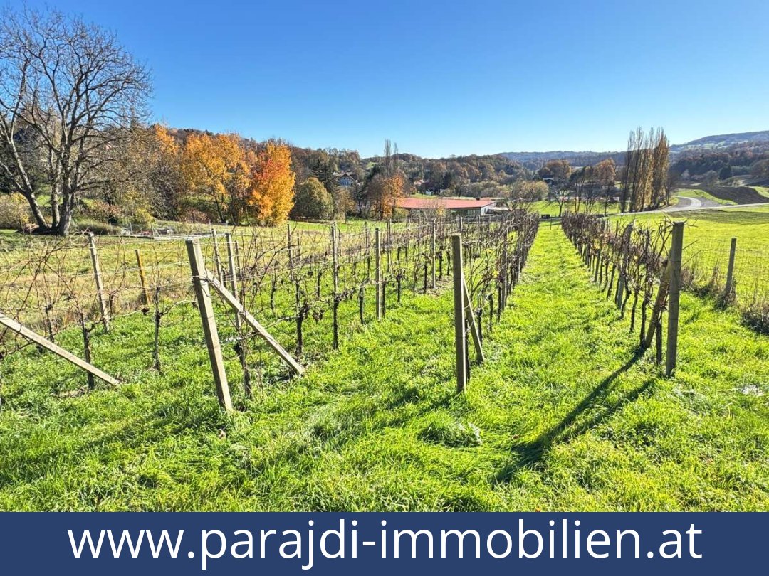 austria-homes-kapfenstein-8353-20251202144724-0046301023.jpg austria-homes-kapfenstein-8353-20251202144724-0046301023.jpg