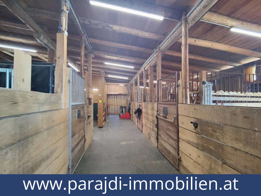 austria-homes-lambach-8323-20260118041715-0057401017.jpg austria-homes-lambach-8323-20260118041715-0057401017.jpg