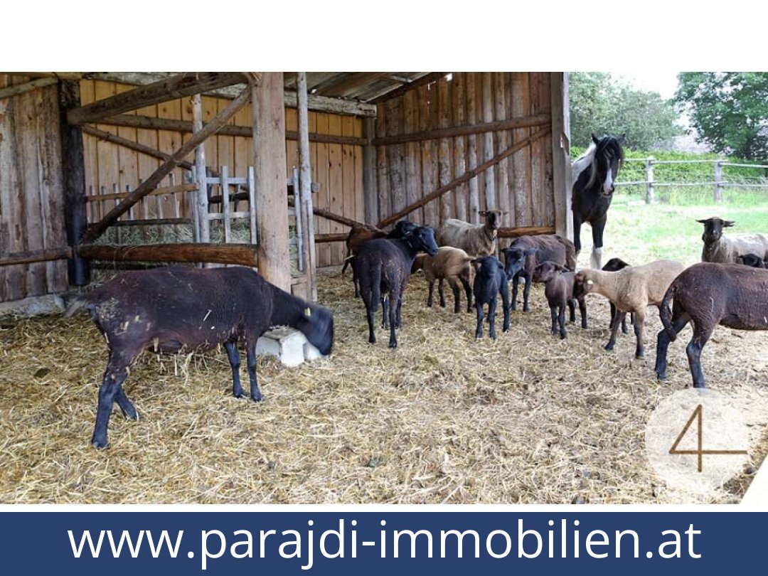 austria-homes-lichtenberg-3841-20250829054753-0011701008.jpg