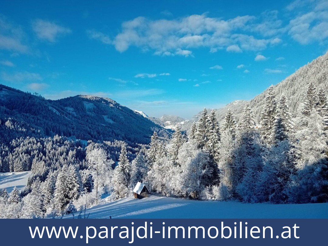 austria-homes-oppenberg-8786-20251202051715-0044811002.jpg austria-homes-oppenberg-8786-20251202051715-0044811002.jpg