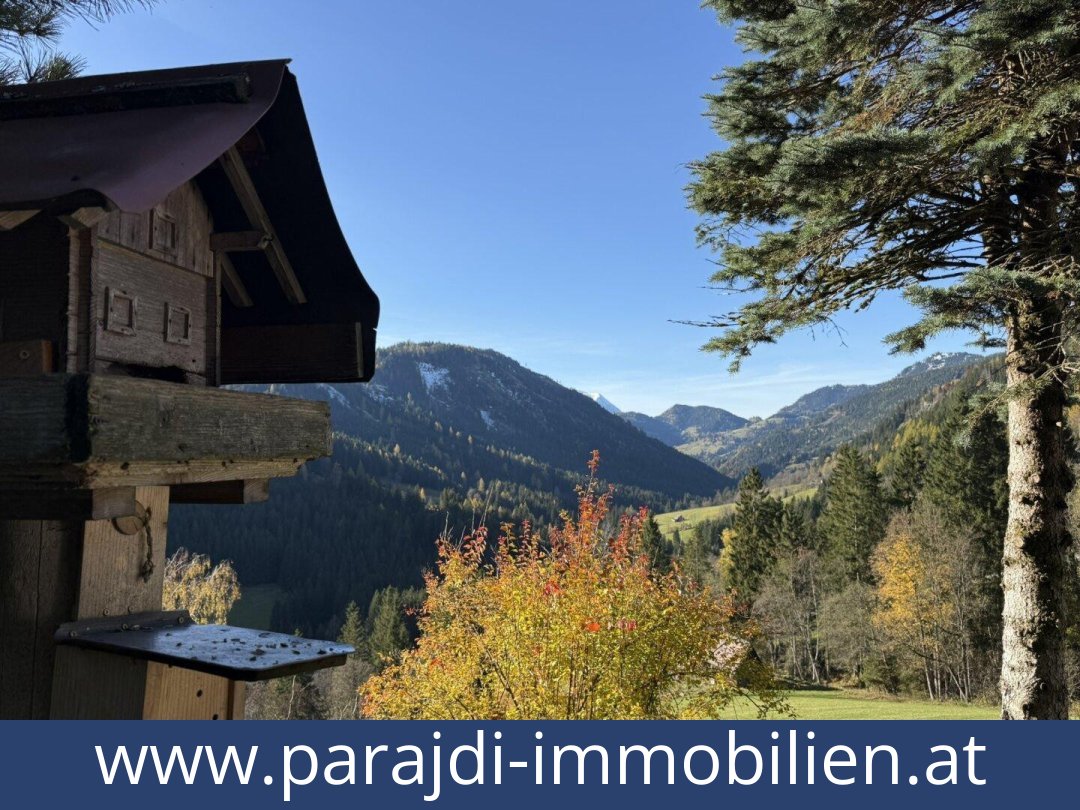 austria-homes-oppenberg-8786-20251202051715-0044811003.jpg austria-homes-oppenberg-8786-20251202051715-0044811003.jpg