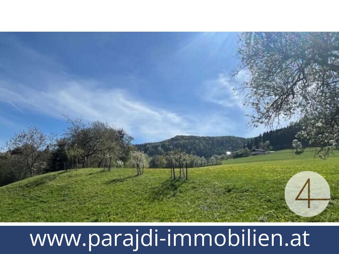 austria-homes-perwarth-3263-20250830174737-0028201006.jpg