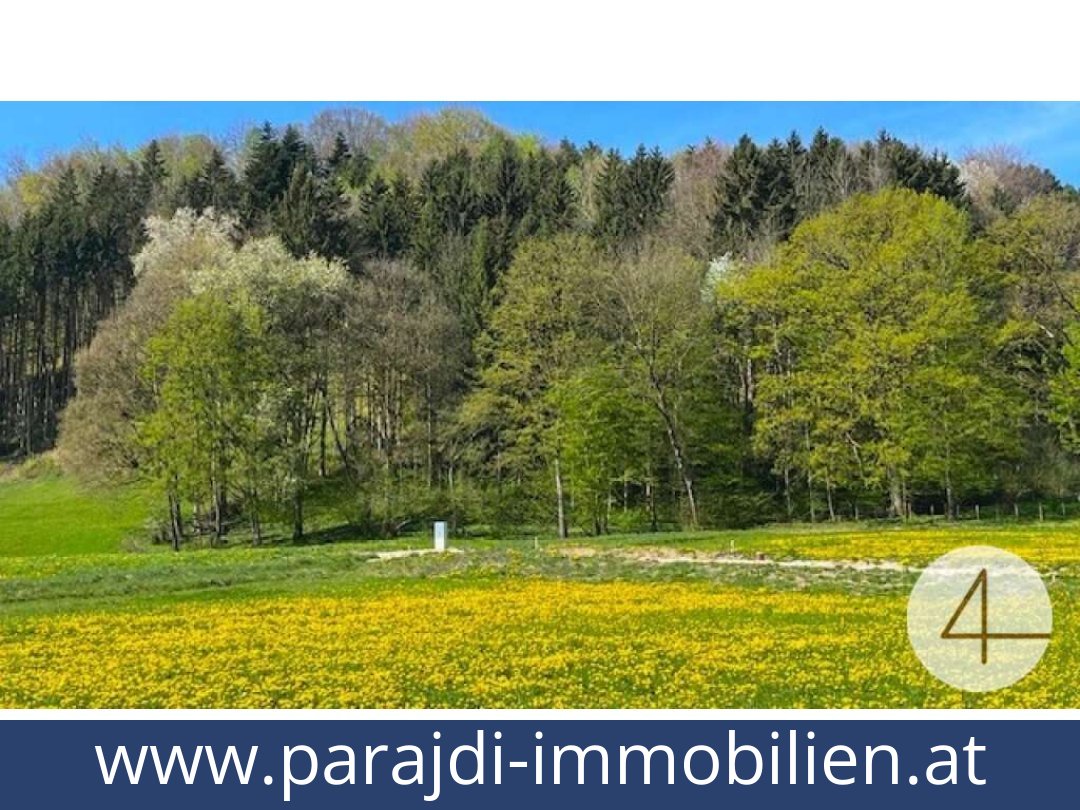 austria-homes-perwarth-3263-20251127124714-0041201002.jpg austria-homes-perwarth-3263-20251127124714-0041201002.jpg