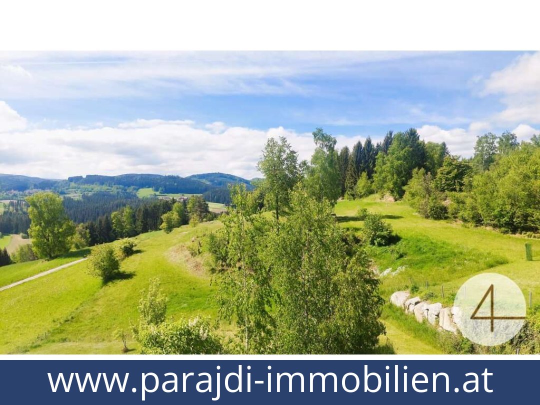 austria-homes-schonbach-3633-20250829011749-0009801008.jpg