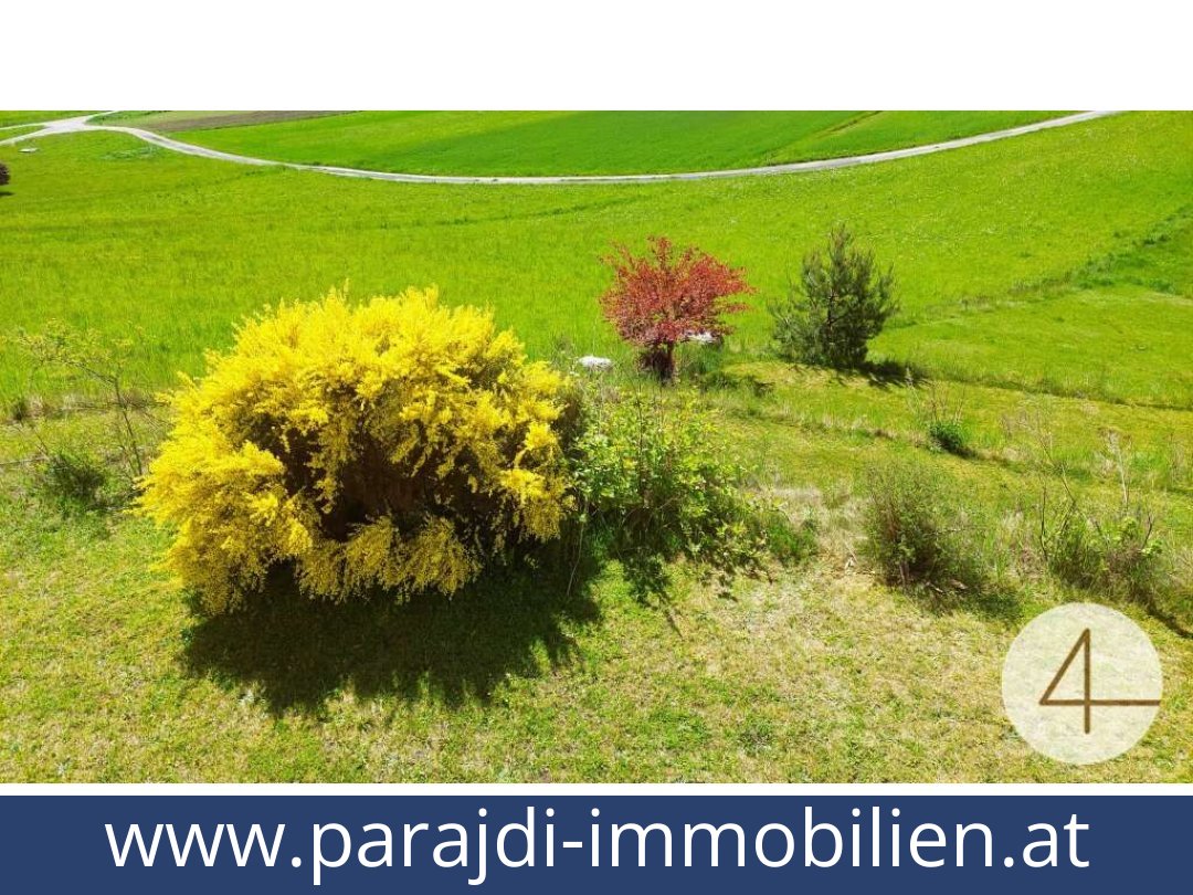 austria-homes-schonbach-3633-20250829011749-0009801011.jpg