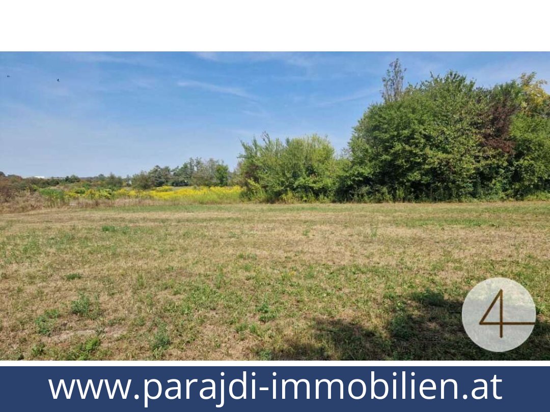 austria-homes-wels-4600-20251201044711-0042301001.jpg austria-homes-wels-4600-20251201044711-0042301001.jpg