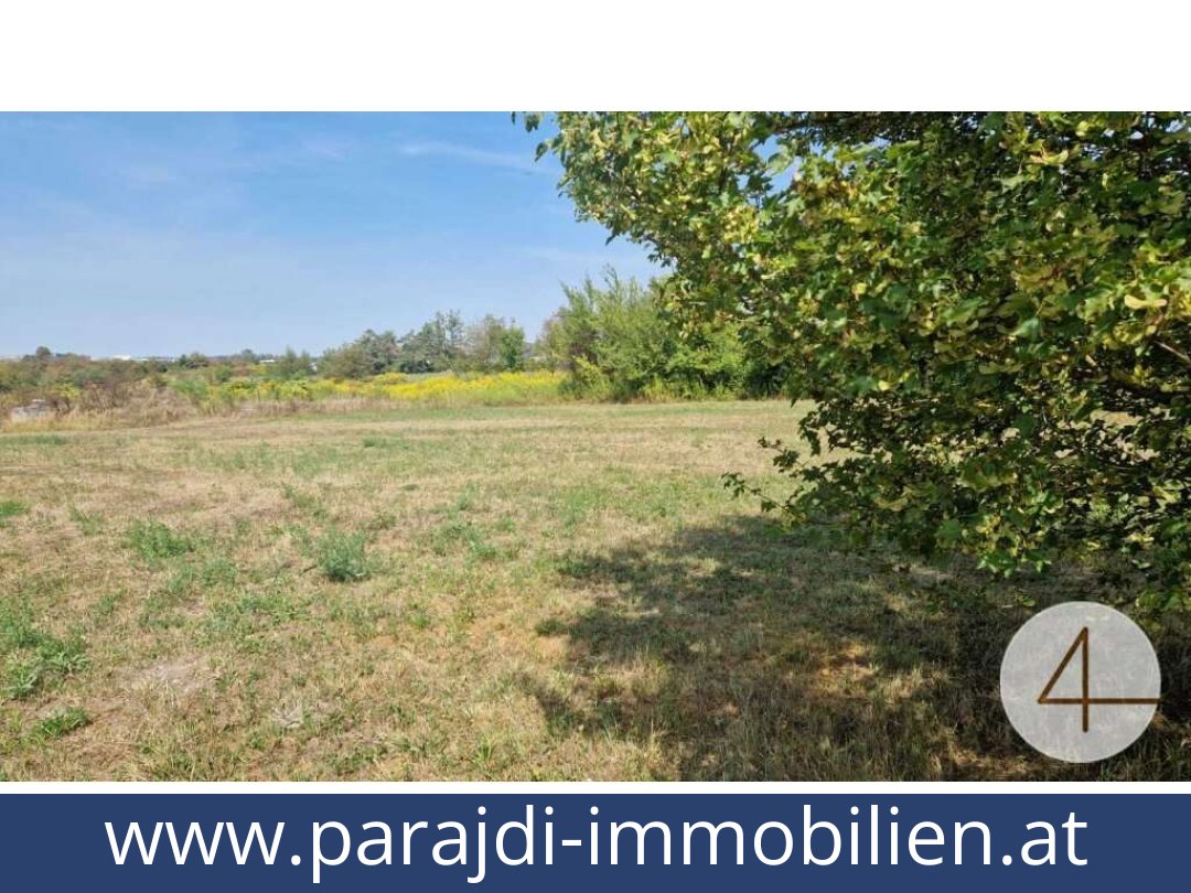 austria-homes-wels-4600-20251201044711-0042301002.jpg austria-homes-wels-4600-20251201044711-0042301002.jpg