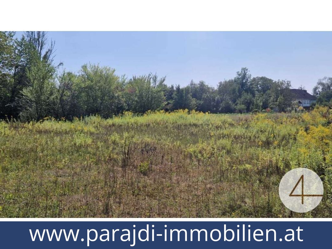 austria-homes-wels-4600-20251201044711-0042301003.jpg austria-homes-wels-4600-20251201044711-0042301003.jpg