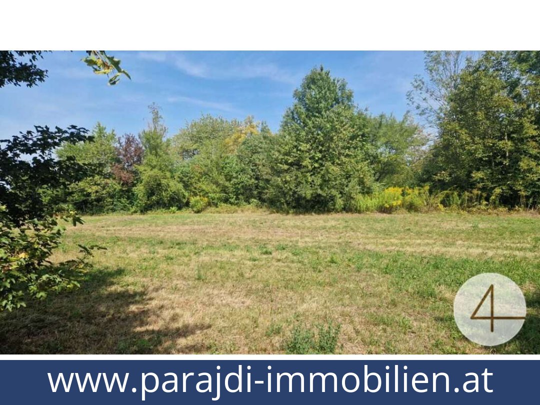 austria-homes-wels-4600-20251201044711-0042301004.jpg austria-homes-wels-4600-20251201044711-0042301004.jpg