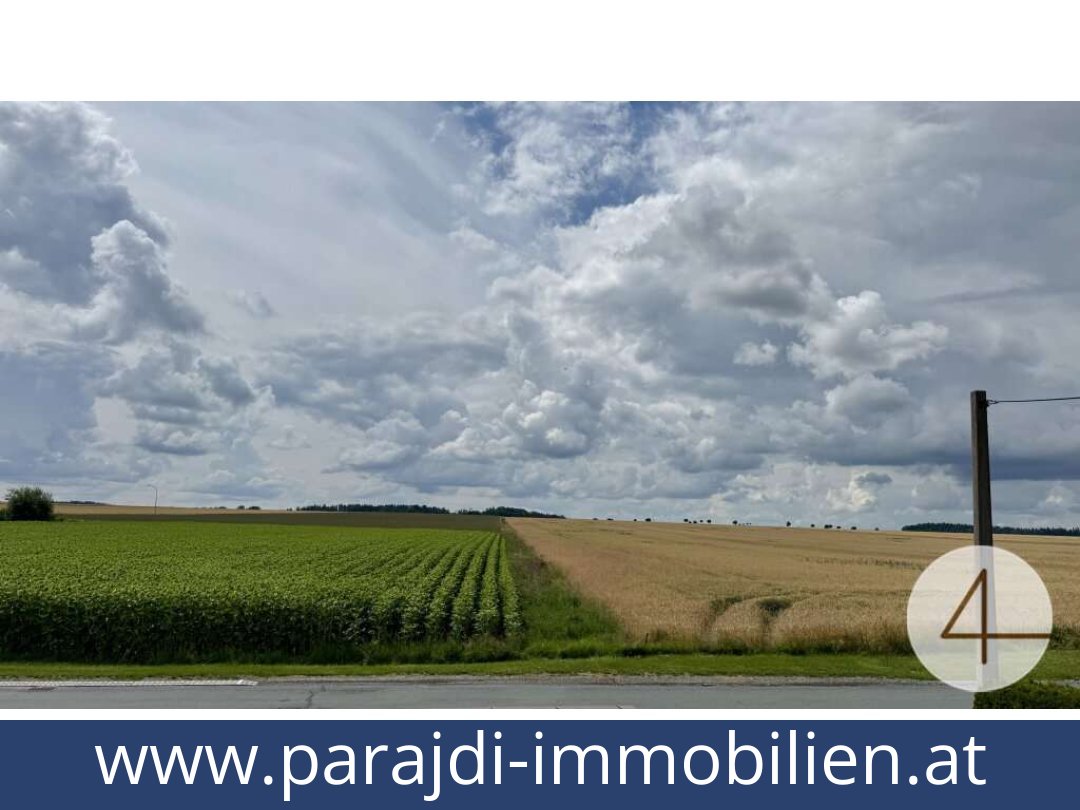 austria-homes-zissersdorf-2094-20250830044724-0021301016.jpg